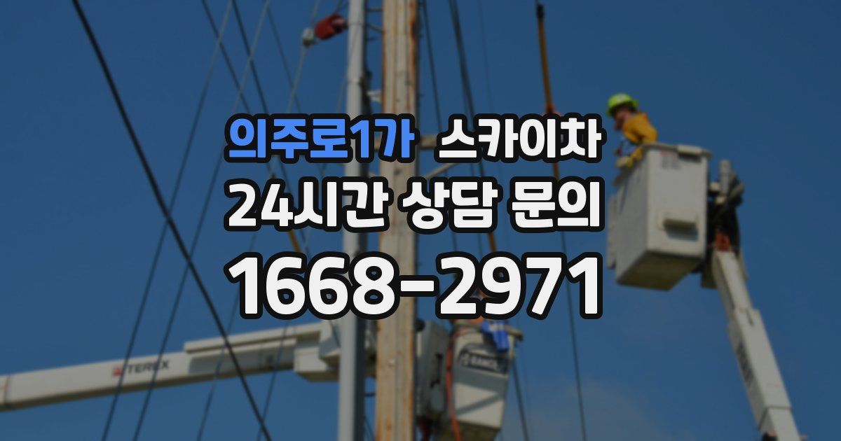 의주로1가 스카이차