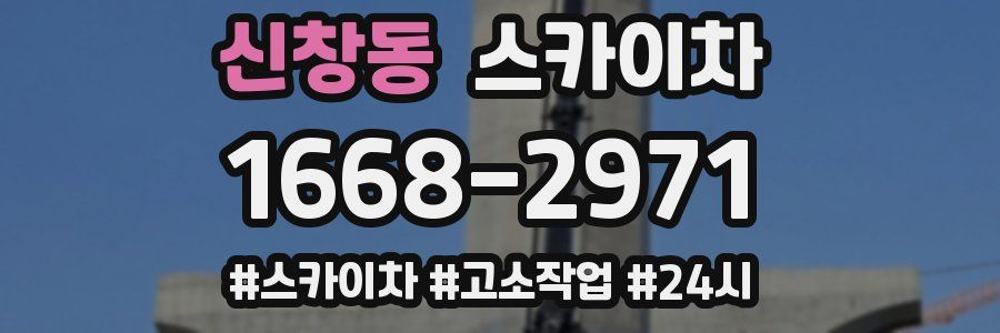 신창동 스카이차