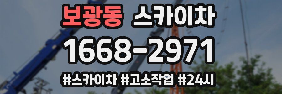 보광동 스카이차