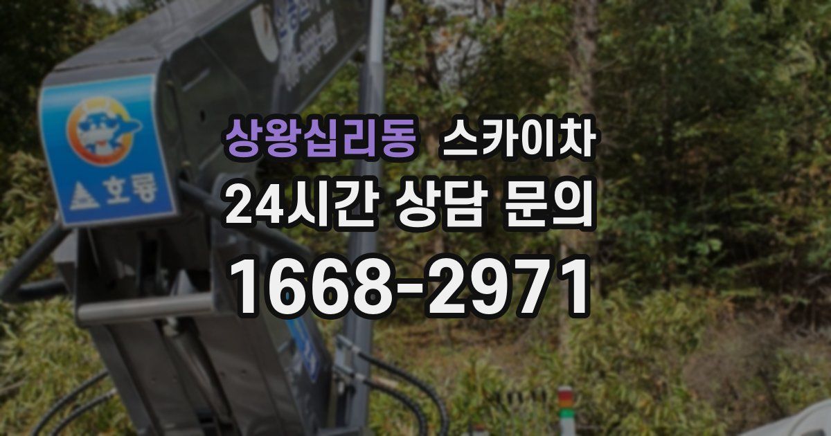 상왕십리동 스카이차