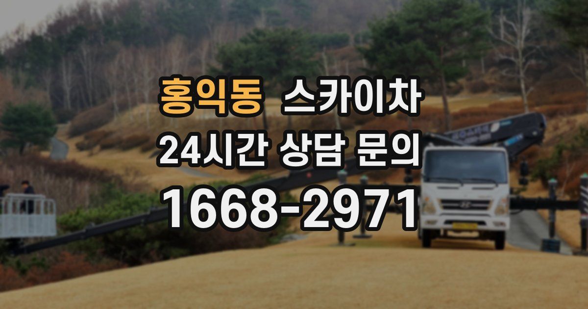 홍익동 스카이차