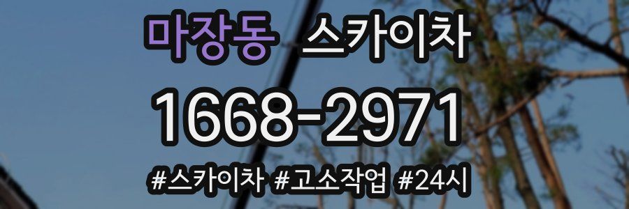 마장동 스카이차