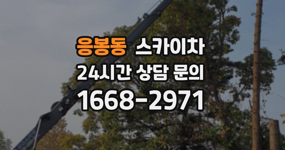 응봉동 스카이차