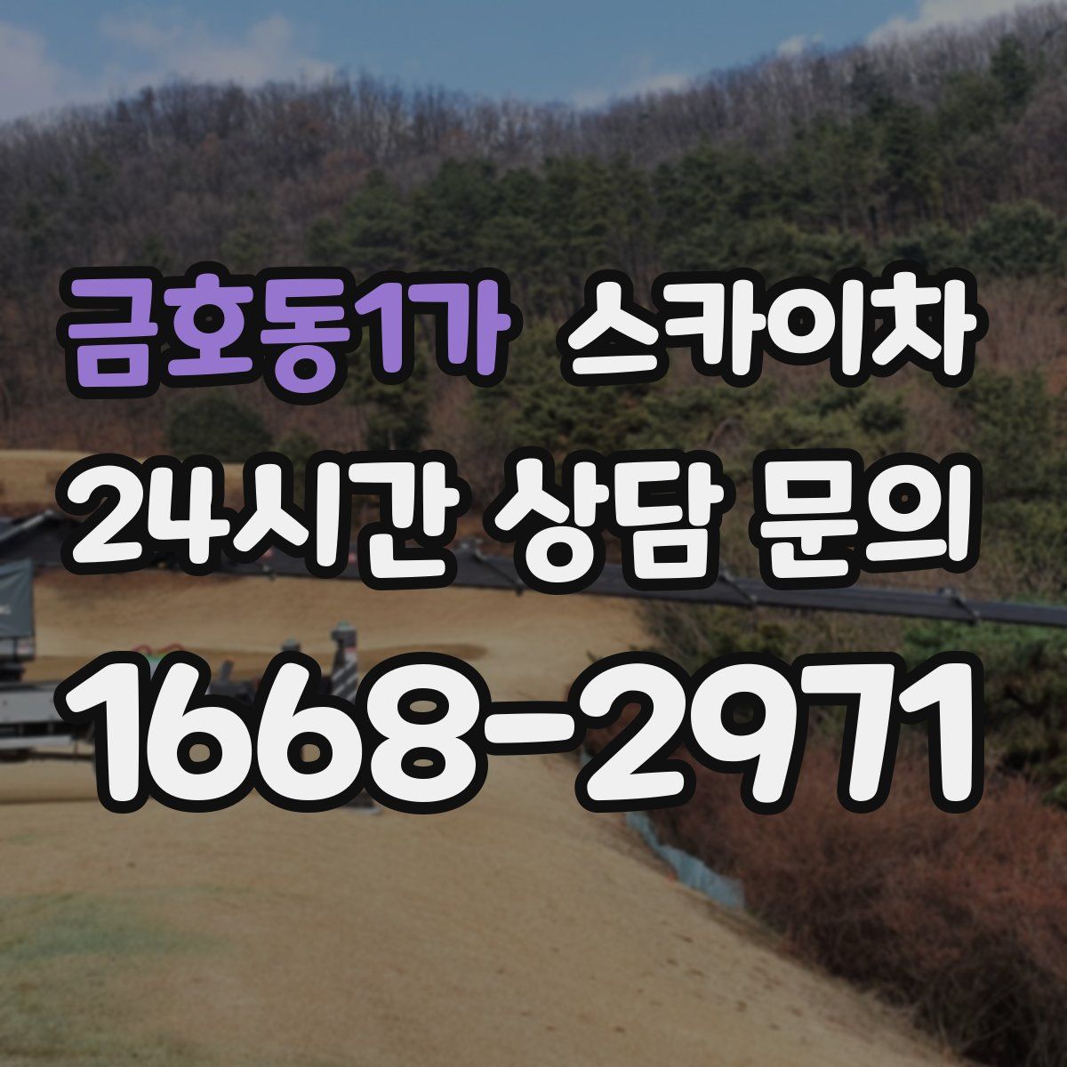 금호동1가 스카이차