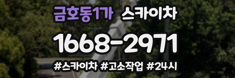 금호동1가 스카이차