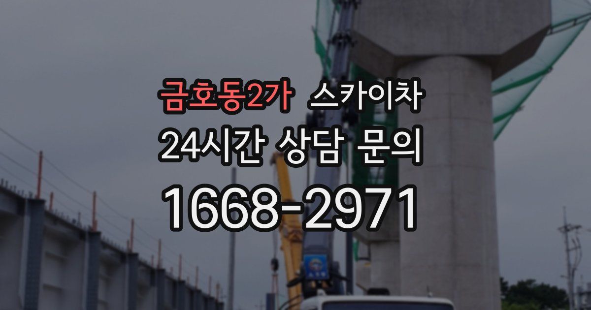 금호동2가 스카이차