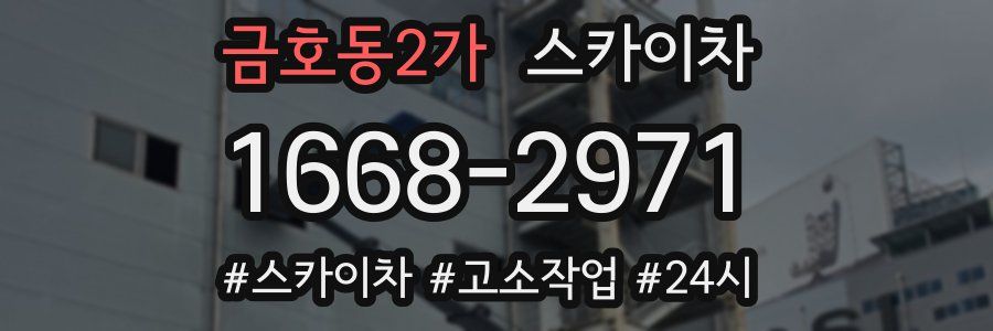 금호동2가 스카이차
