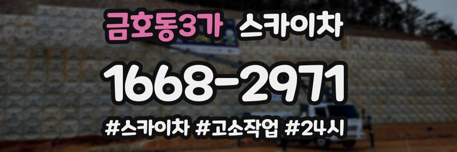 금호동3가 스카이차