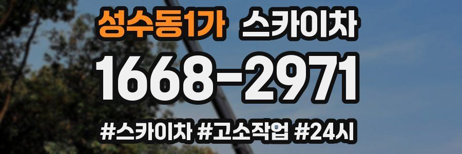 성수동1가 스카이차
