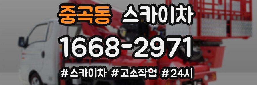 중곡동 스카이차