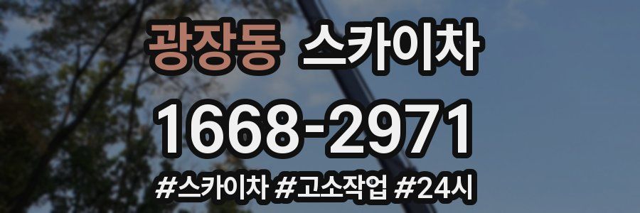 광장동 스카이차