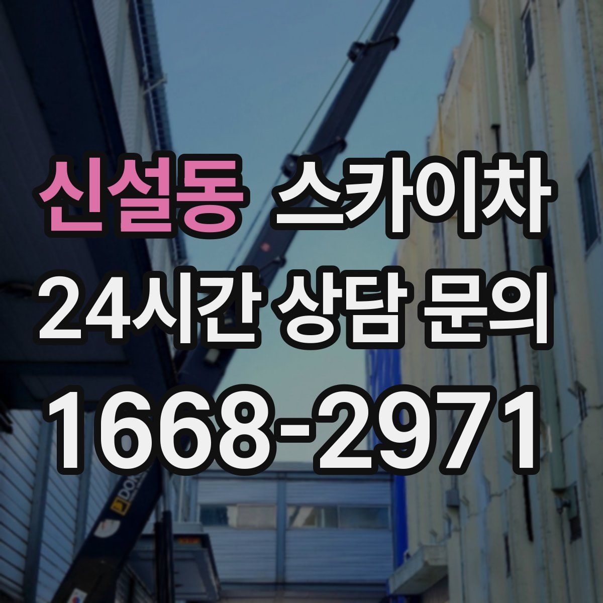 신설동 스카이차