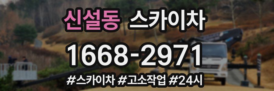 신설동 스카이차