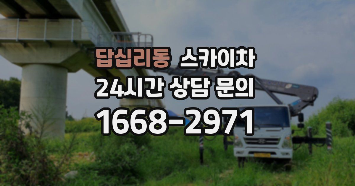 답십리동 스카이차