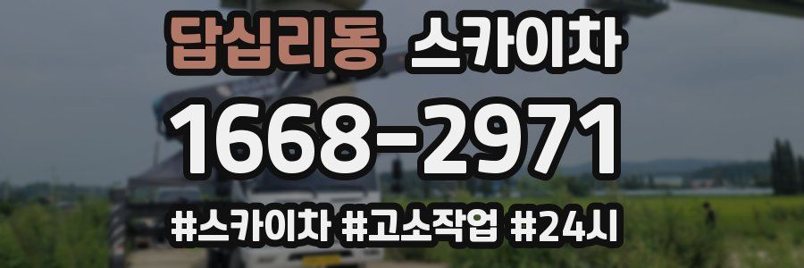 답십리동 스카이차