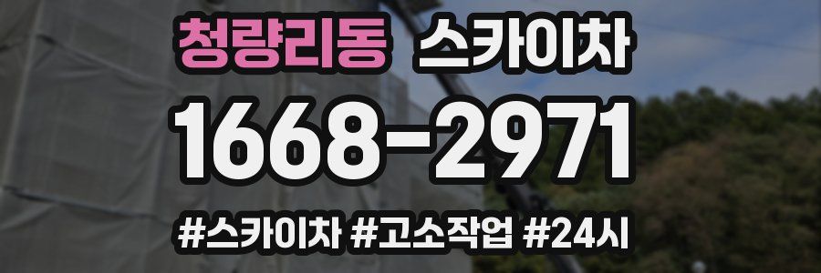 청량리동 스카이차