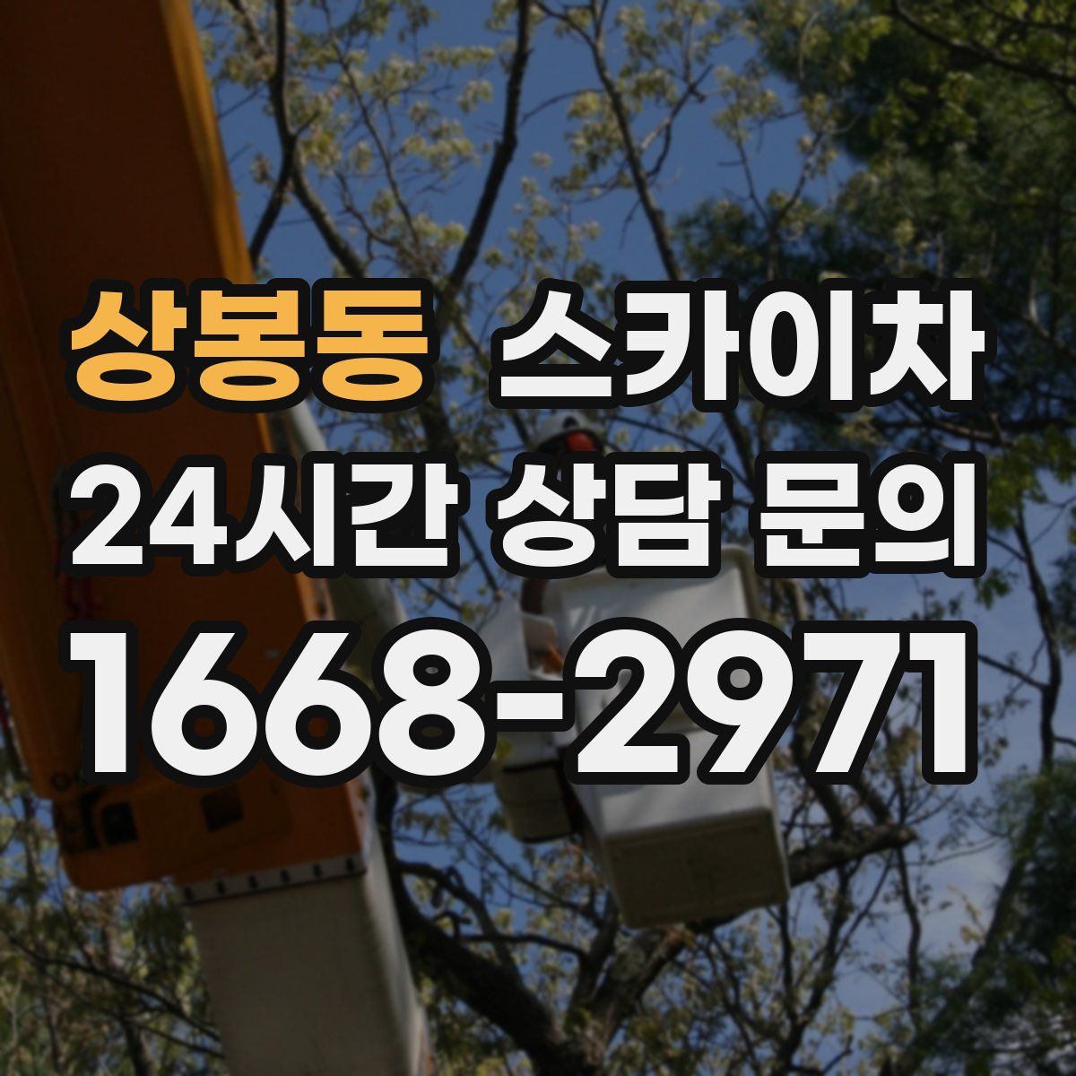 상봉동 스카이차