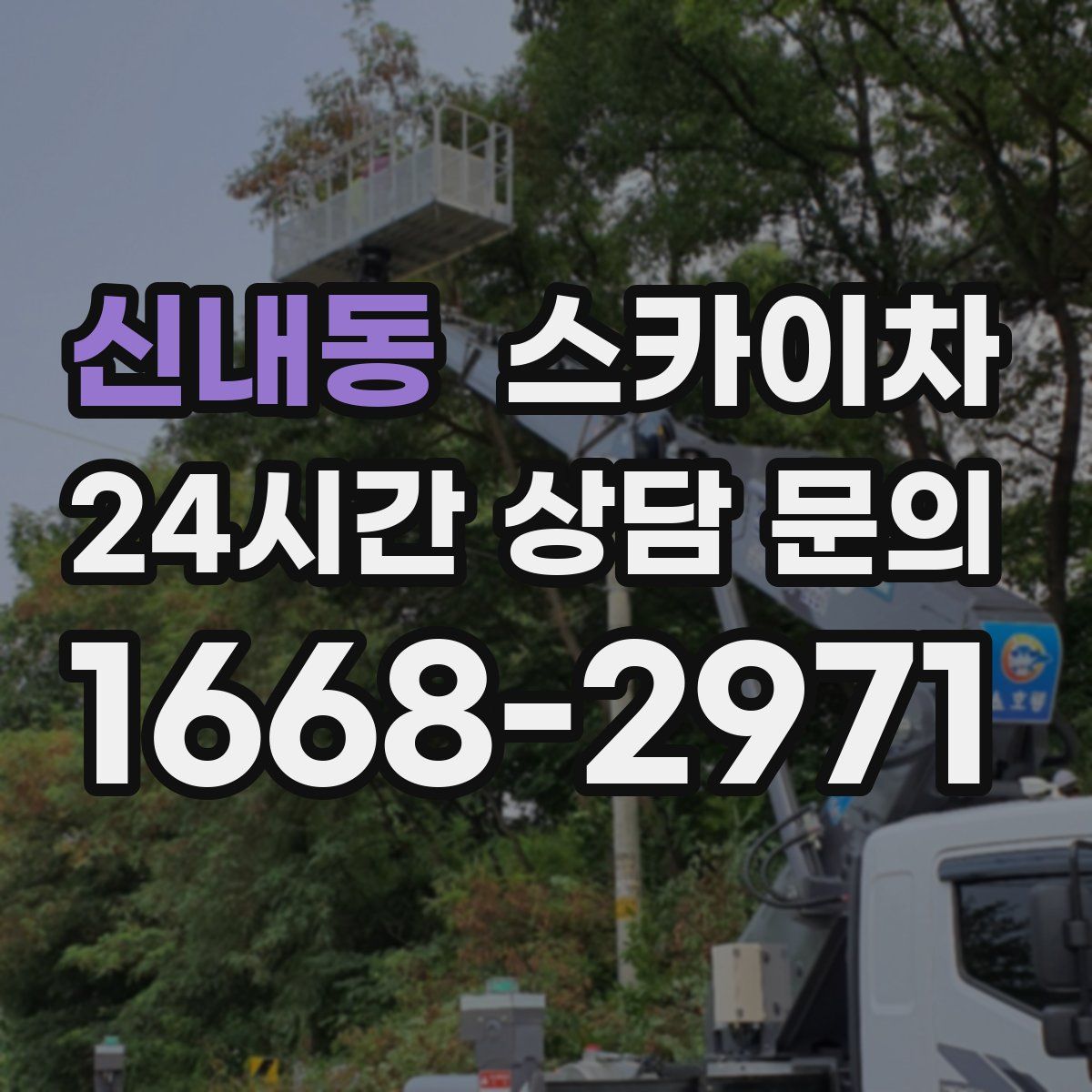 신내동 스카이차