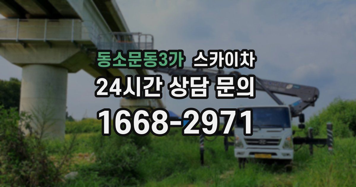 동소문동3가 스카이차