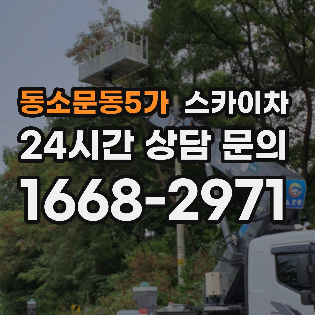 동소문동5가 스카이차