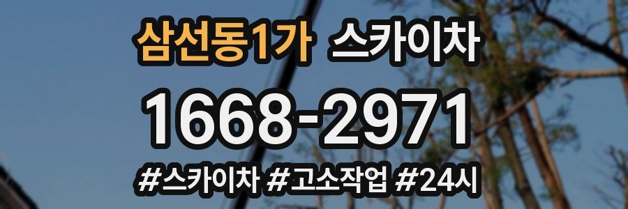 삼선동1가 스카이차