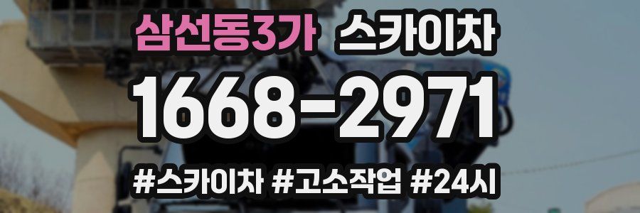 삼선동3가 스카이차