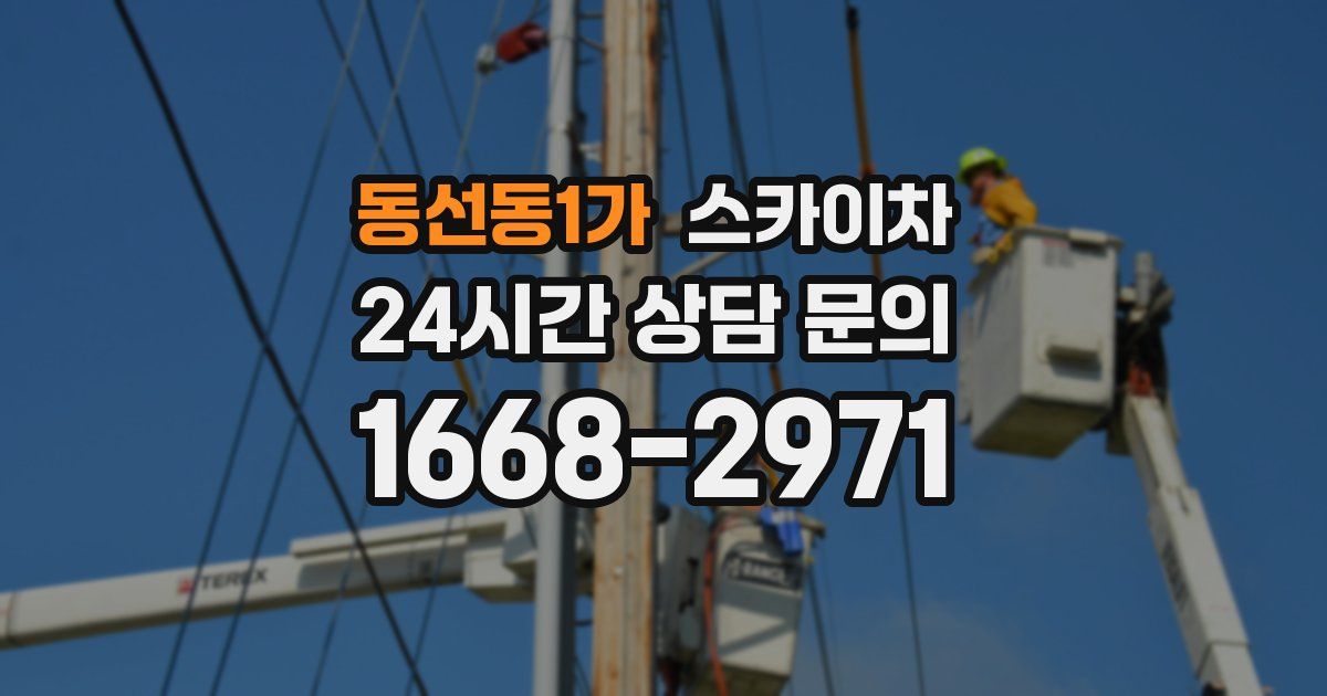 동선동1가 스카이차