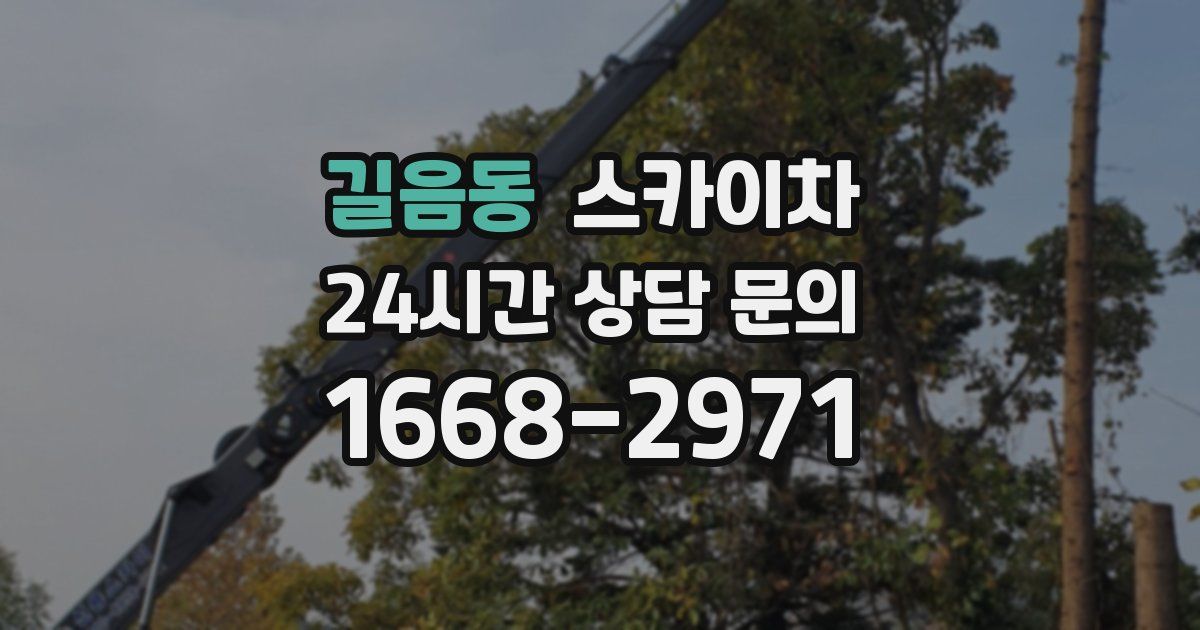 길음동 스카이차