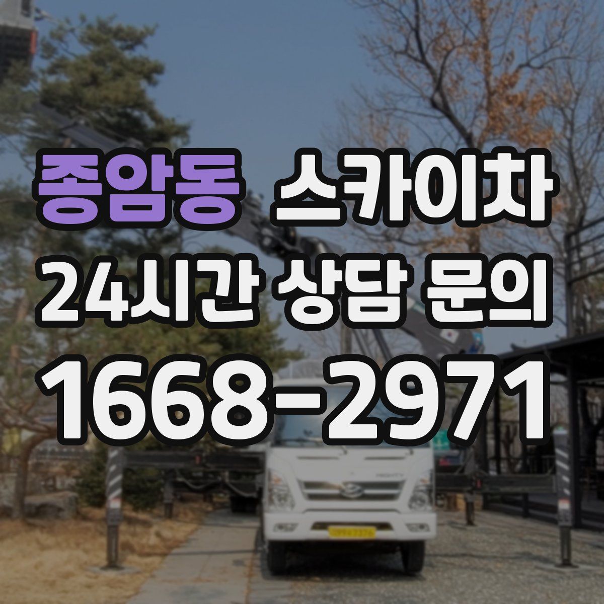 종암동 스카이차