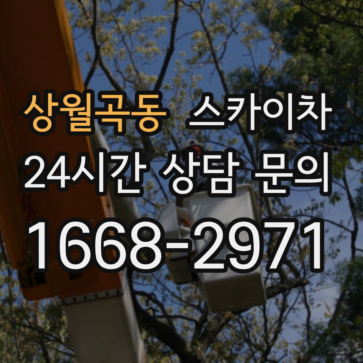 상월곡동 스카이차