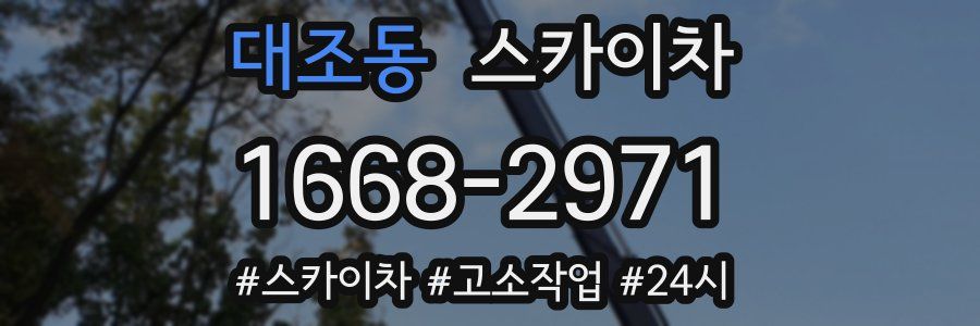 대조동 스카이차