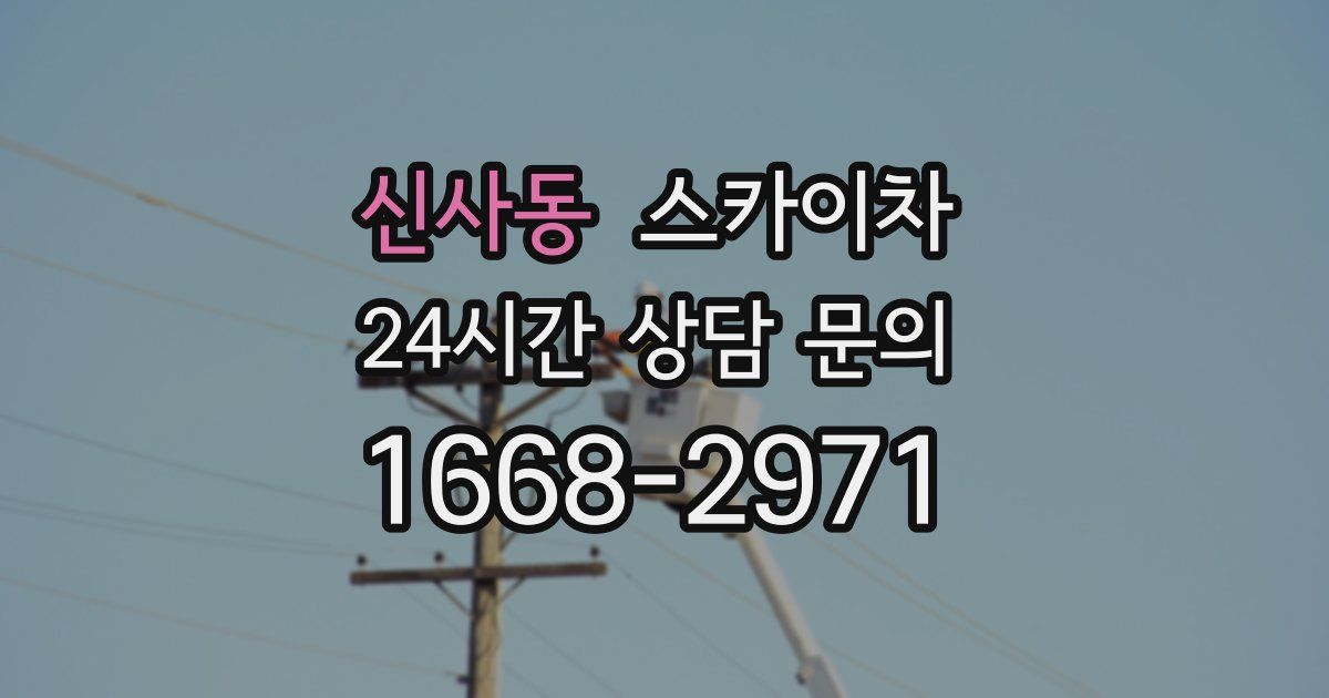 신사동 스카이차