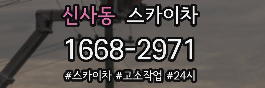 신사동 스카이차