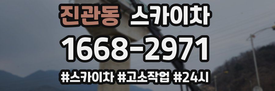 진관동 스카이차