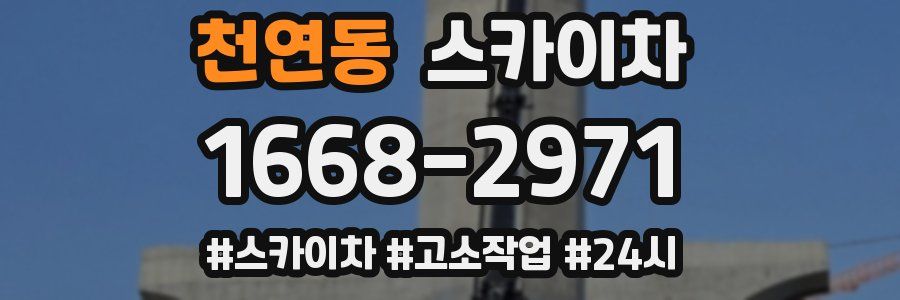 천연동 스카이차