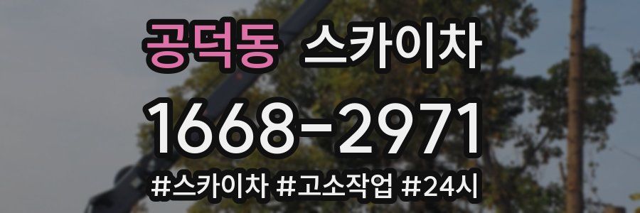 공덕동 스카이차