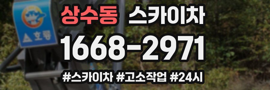 상수동 스카이차