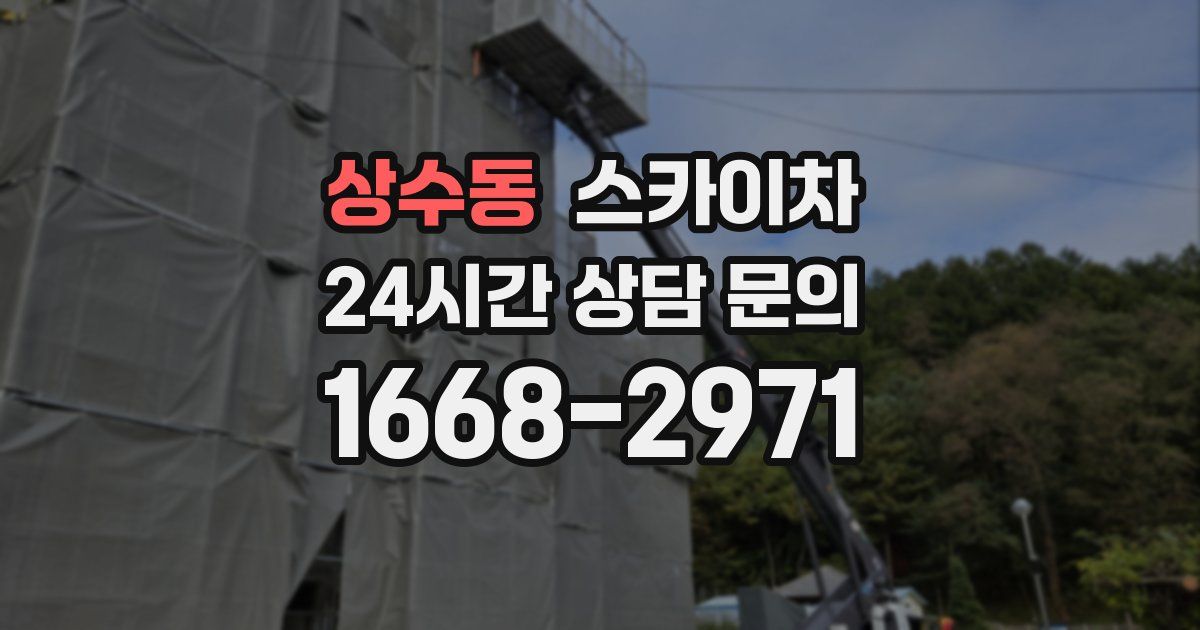 상수동 스카이차