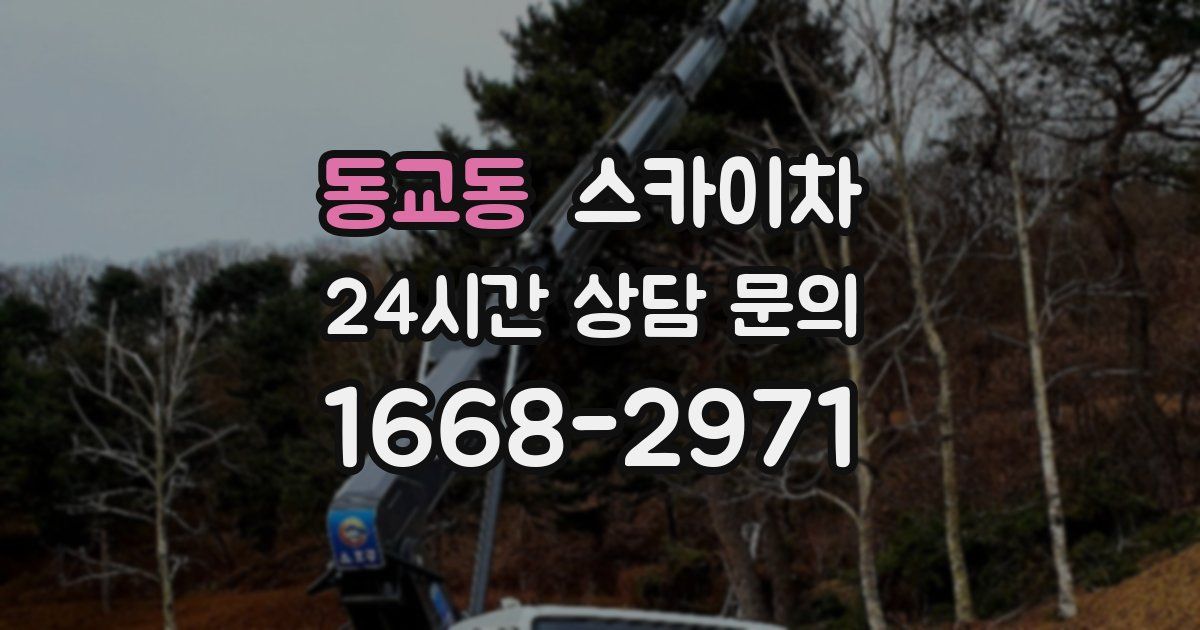 동교동 스카이차