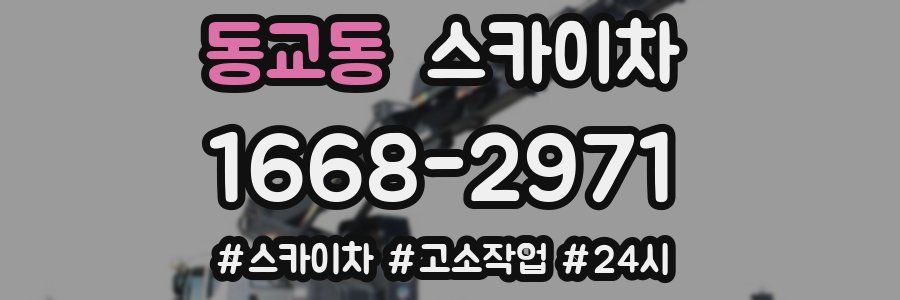 동교동 스카이차