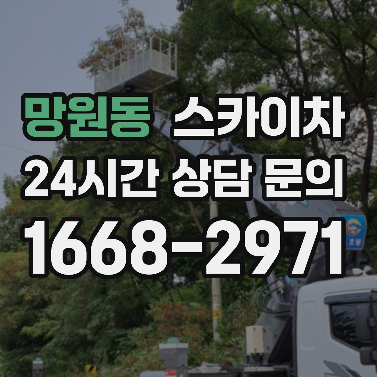 망원동 스카이차