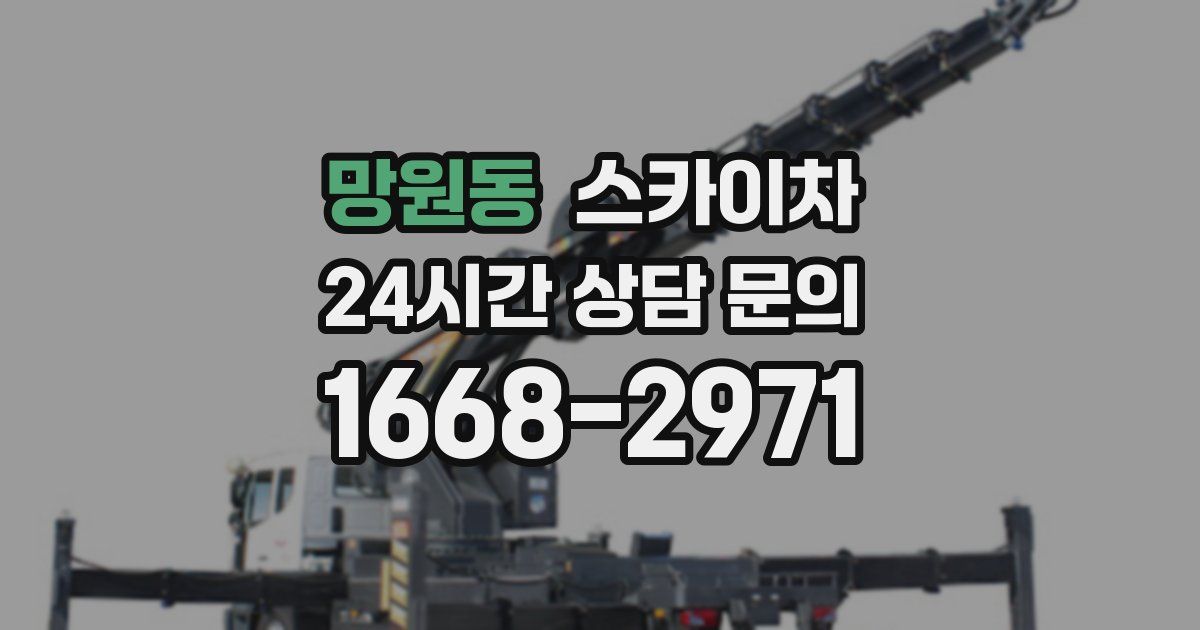 망원동 스카이차