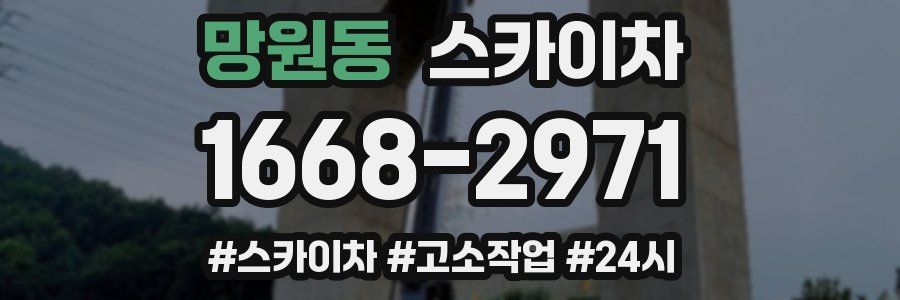 망원동 스카이차