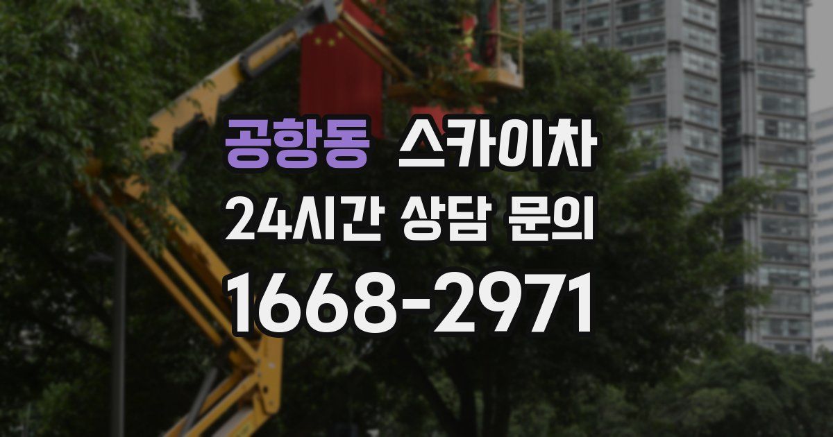 공항동 스카이차