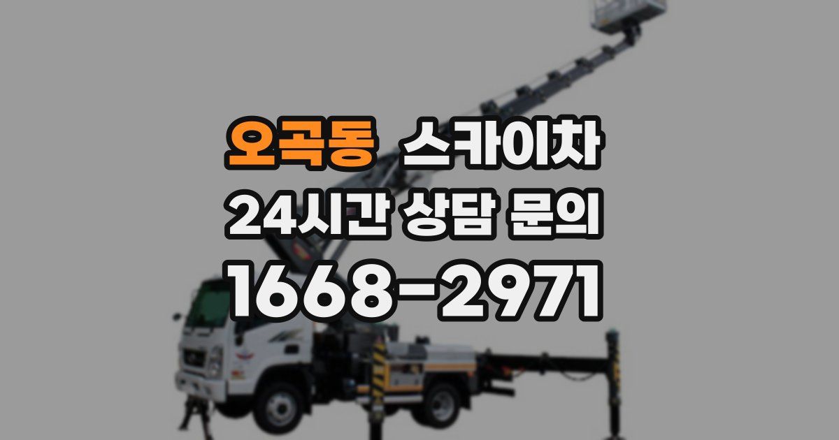 오곡동 스카이차