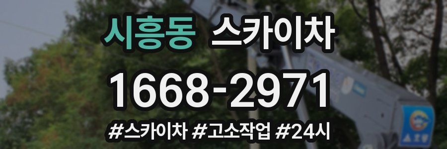 시흥동 스카이차