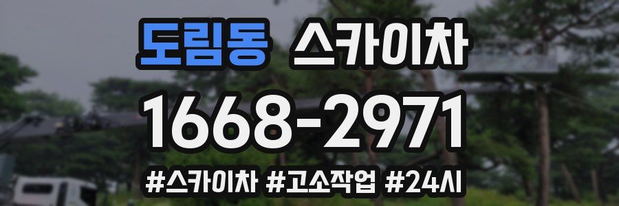 도림동 스카이차