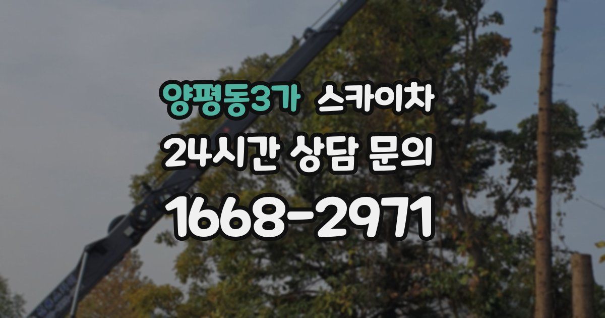 양평동3가 스카이차