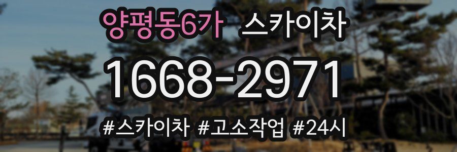 양평동6가 스카이차