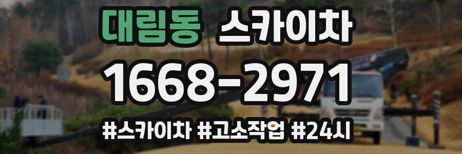 대림동 스카이차